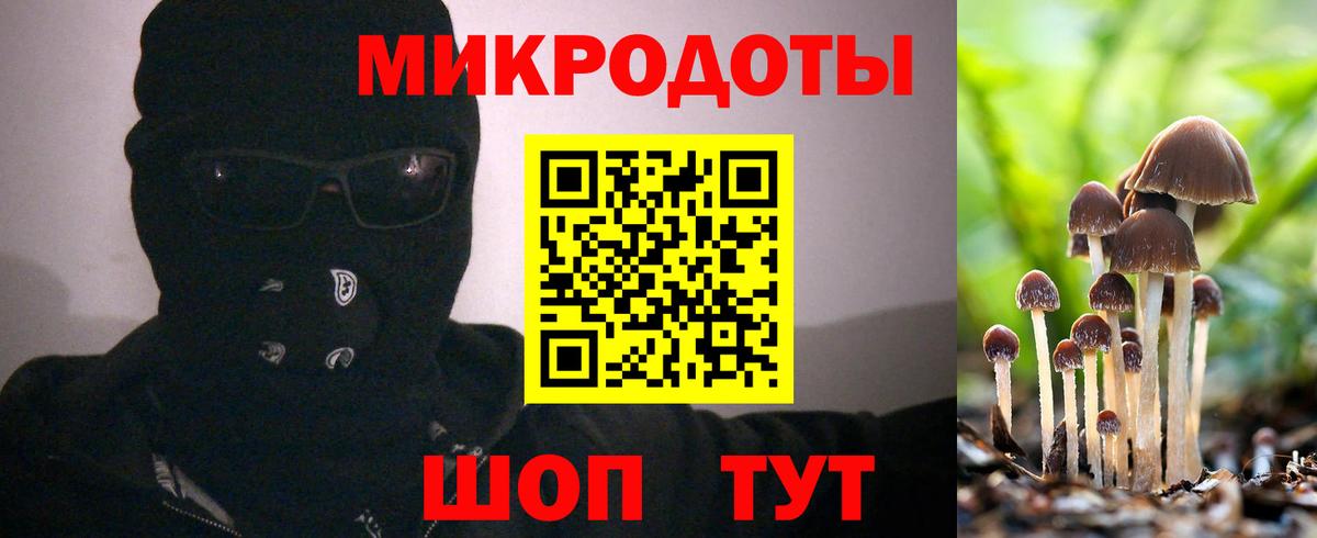Петропавловск-Камчатский  Галлюциногенные грибы мицелий  купить закладку  Вход с VPN 